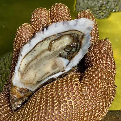 [x] Kettenhandschuh, 24kt verg.